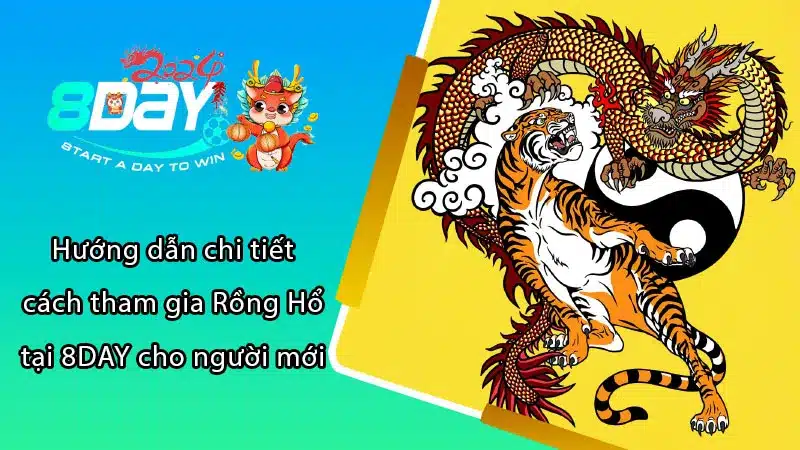 Hướng dẫn chi tiết cách tham gia Rồng Hổ tại 8DAY cho người mới